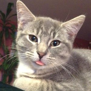 Meet your Posher, Julie